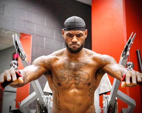 黄蜂若想提 黄蜂若想提